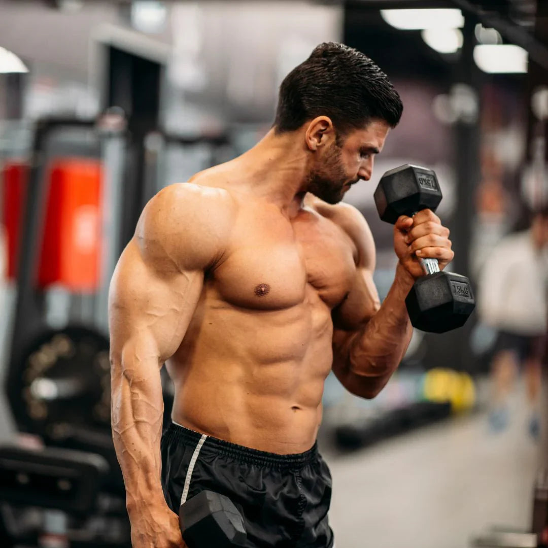 FitZone Essentials 💪